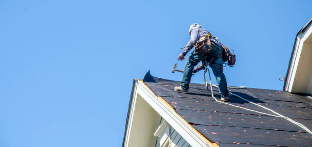 Best Roof Gutter Cleaning  in La Verne, CA